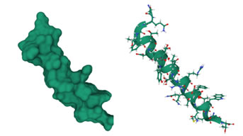 glukagon