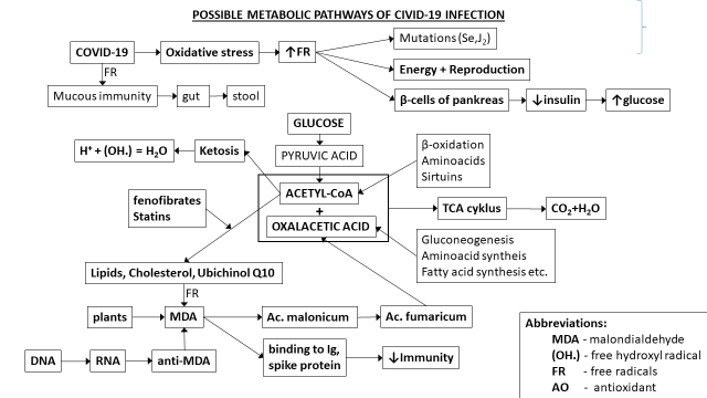 covid 19