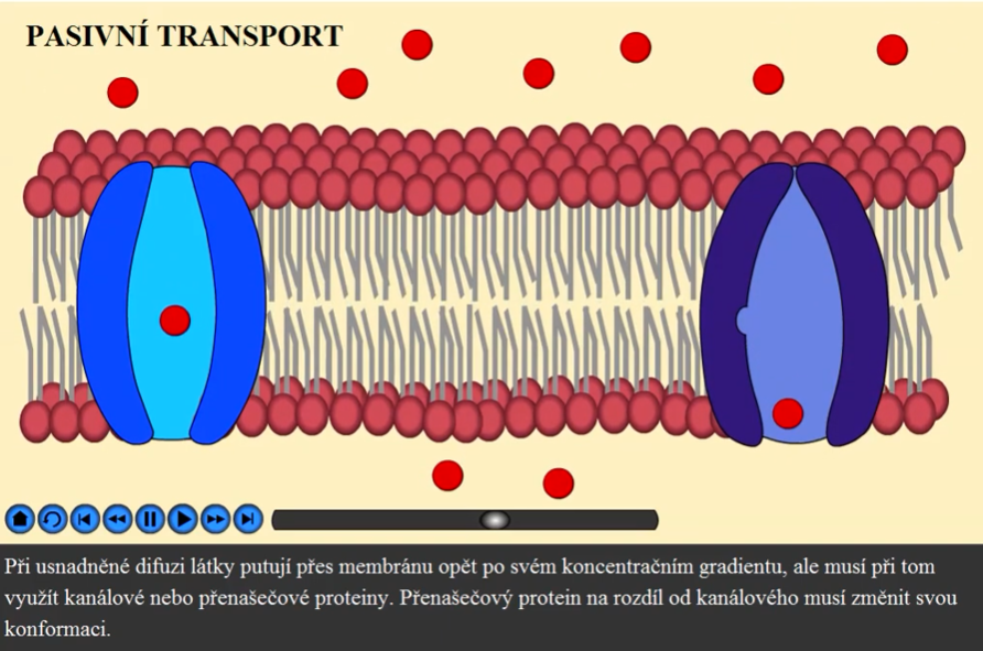 Transport