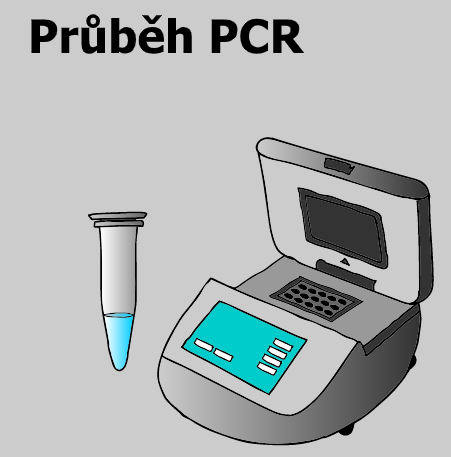 PCR