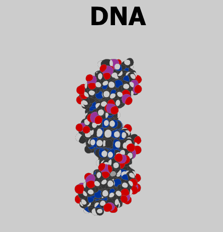 DNA