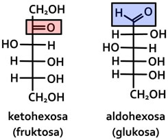 fruktoza, glukoza