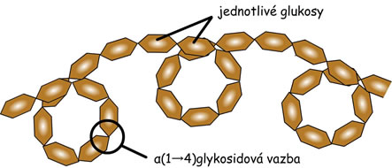 amylosa