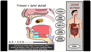 Trávení: úvod