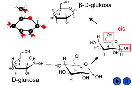 anomer alfa beta glukosa