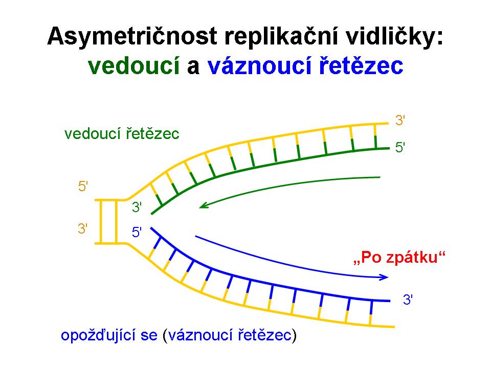 replikace