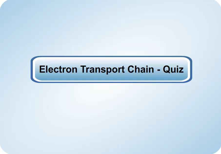 Electron Transport Chain quiz