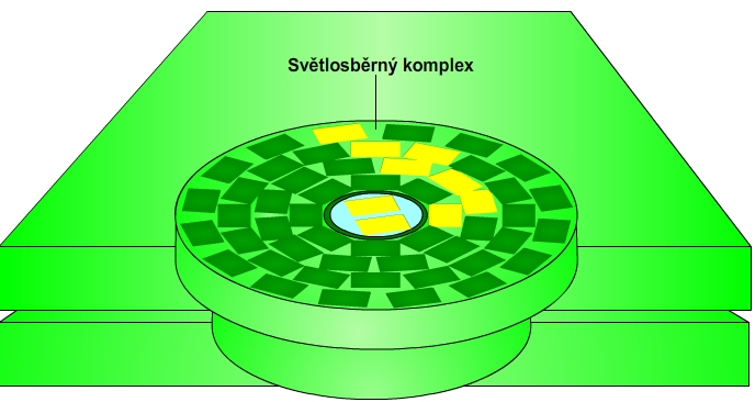 Světlosběrný komplex