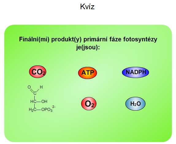 fotosyntéza: kvíz