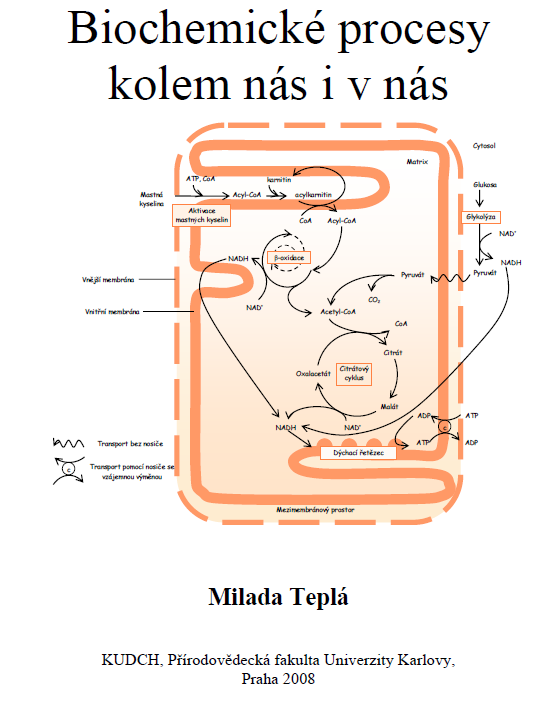 Biochemické procesy kolem nás i v nás