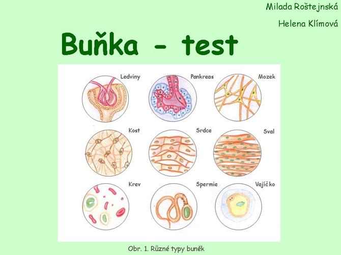 bunka test