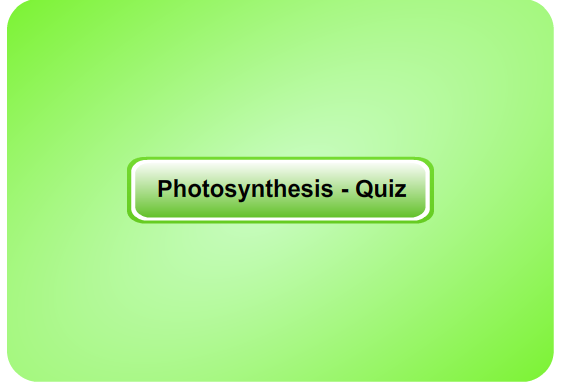 photosynthesis Quiz