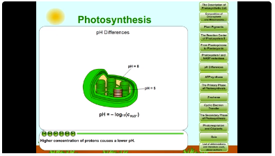 photosynthesis