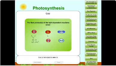 Photosynthesis