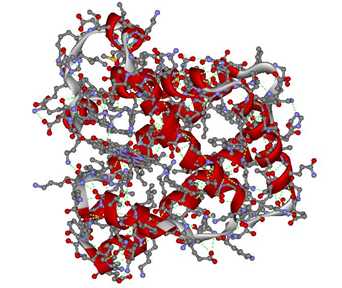 hemoglobin, terciární struktura