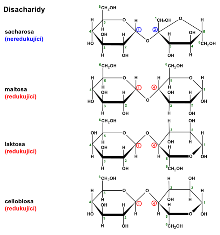 disacharidy