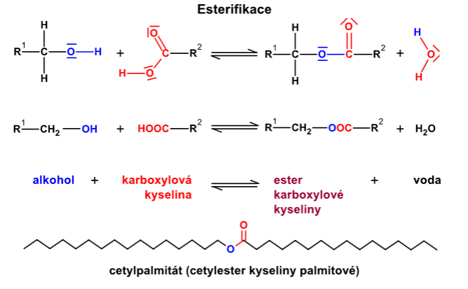 esterifikace