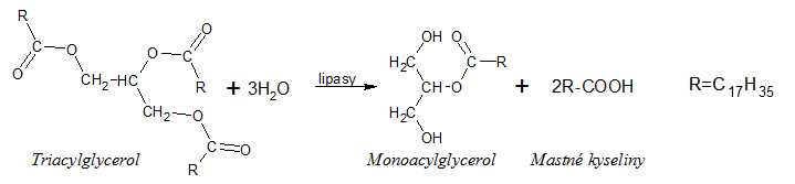 trávení lipidů, triacylglycerolů