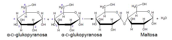 maltoza maltosa