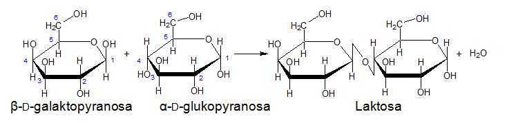 laktosa laktoza