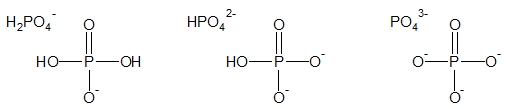 Anorganický fosfát (P) v závislosti na pH fyziologického roztoku