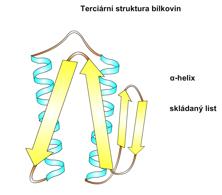 terciární struktura