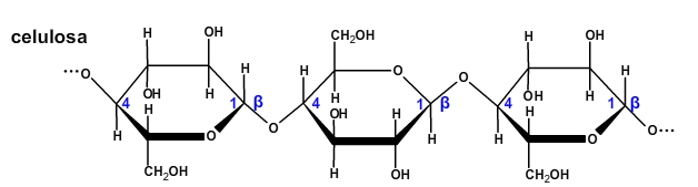 celulosa