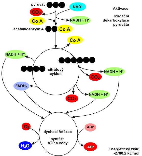 odbouravani schema