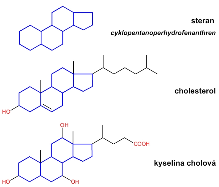 sterioidy